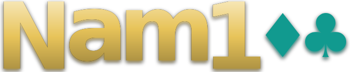 Nam100 logo